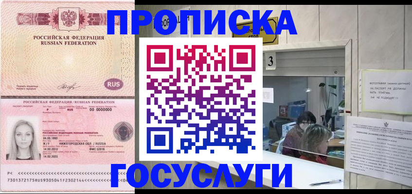 прописка паспорт в Александровске